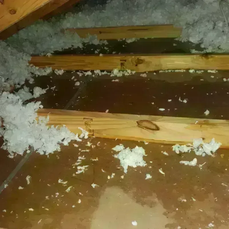 Attic Water Damage in Franklin Park, PA