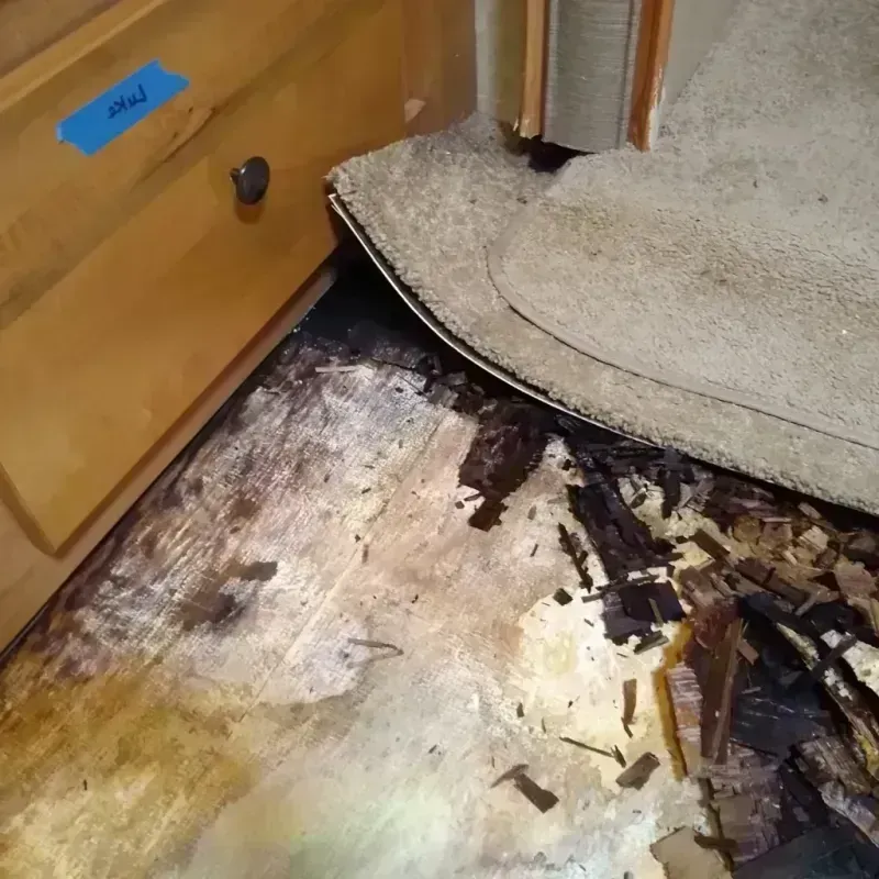 Wood Floor Water Damage in Franklin Park, PA